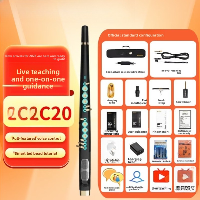 C20 트루 샘플링 국산 고급 지능형 전자 블로우, 전 - Musical Instrument That You Blow Into 리뷰 및 가격