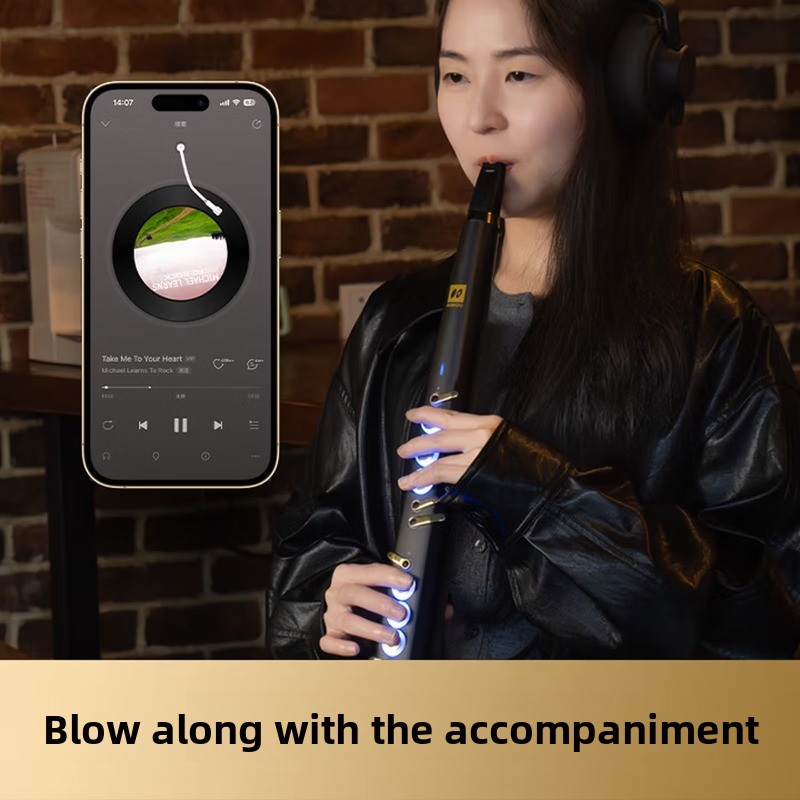C20 트루 샘플링 국산 고급 지능형 전자 블로우, 전 - Musical Instrument That You Blow Into 리뷰 및 가격
