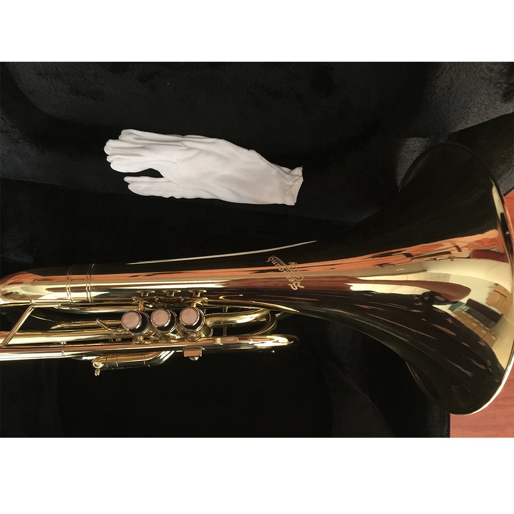 Bb 골드 래커 마감 마칭 프렌치 호른, 아마추어 학생 - Musical Instrument French 리뷰 및 가격