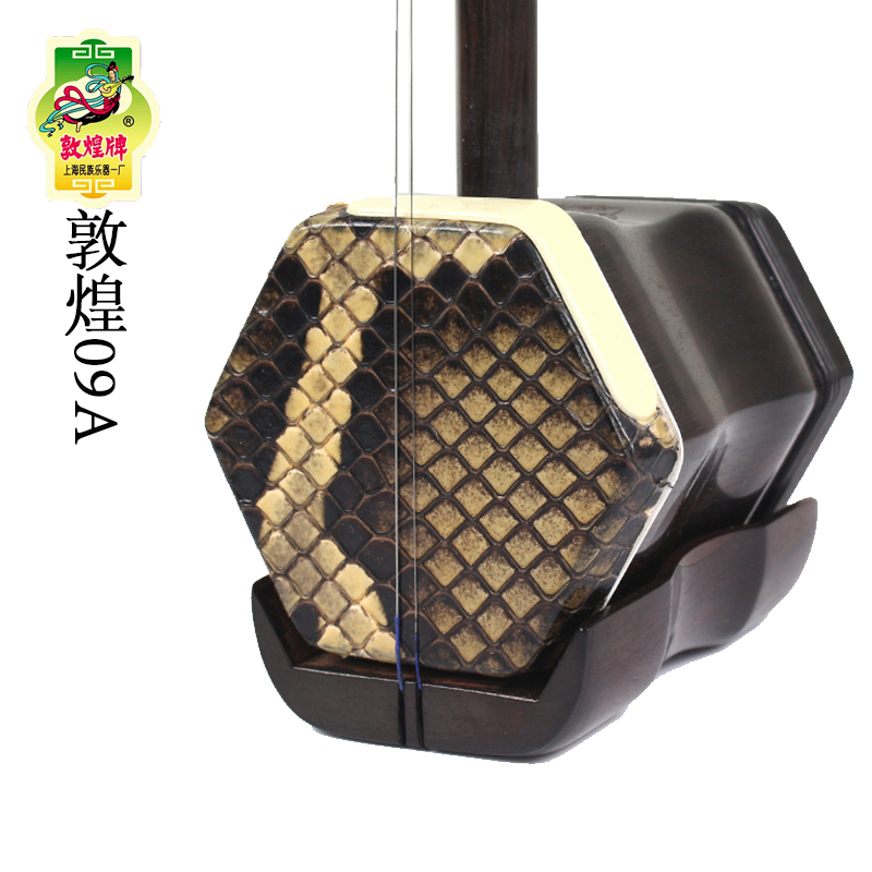 Dunhuang Professional Erhu 09A - Erhu Violin Chinese 리뷰 및 가격